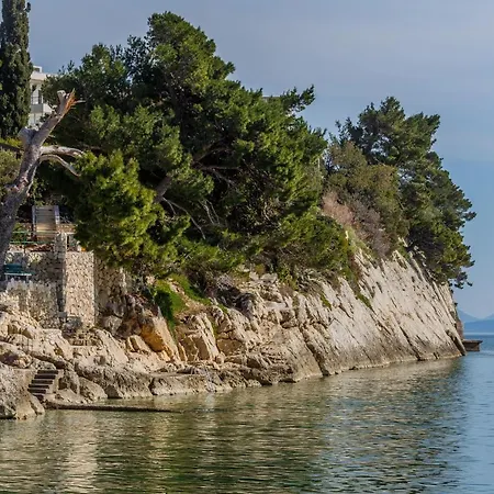 Marello Promajna